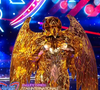 La 2e star internationale a débarqué sur la scène de Mask Singer

L'Oiseau dans Mask Singer, capture d'écran TF1