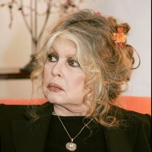 Brigitte Bardot dément une nouvelle hospitalisation annoncée par plusieurs médias.

Brigitte Bardot au "Noel des animaux" à Levallois Perret. Photo par Agence Bestimage