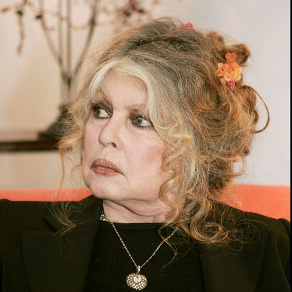 Brigitte Bardot dément une nouvelle hospitalisation annoncée par plusieurs médias.

Brigitte Bardot au "Noel des animaux" à Levallois Perret. Photo par Agence Bestimage