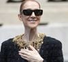 Une publication qui prolonge cette aventure musicale, marquée par le retour de la star québécoise sur scène. 

Céline Dion quitte l'hôtel "Royal Monceau" pour se rendre, pour son dernier concert, à la Plénitude Arena de Nanterre. Paris, le 17 octobre 2026.
© Cyril Moreau/Bestimage