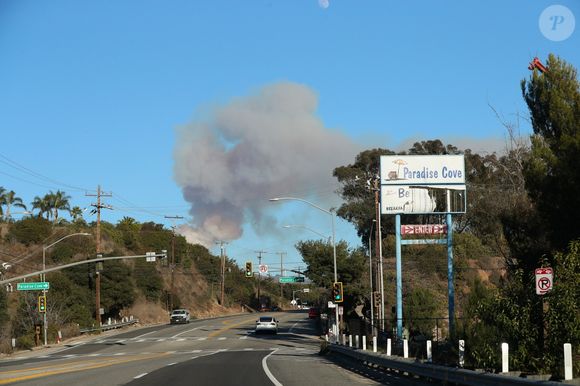 - Vues générales des incendies dans la région de Los Angeles en janvier 2025


Pictured: Malibu PCH
