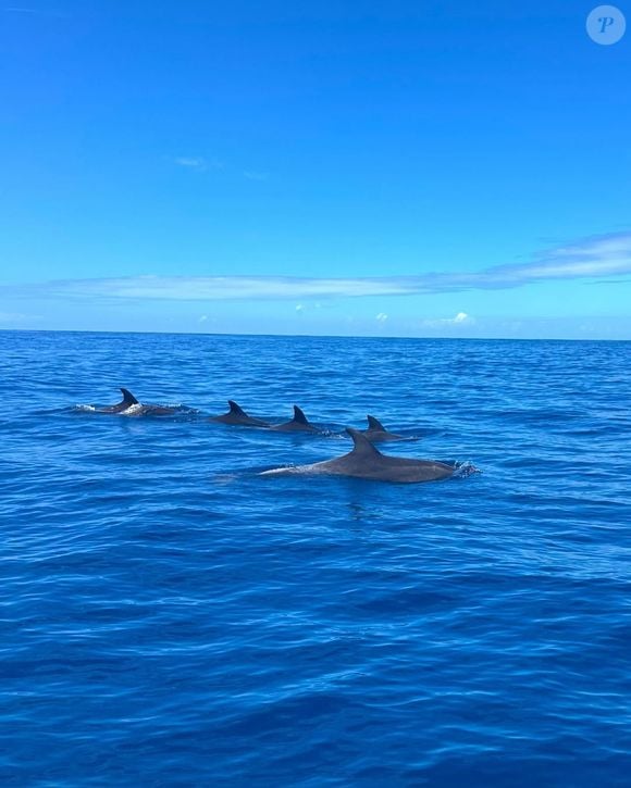 Au programme : farniente, rencontre avec les dauphins et balades 

Virginie Efira et Niels Schneider en vacances à l'île Maurice