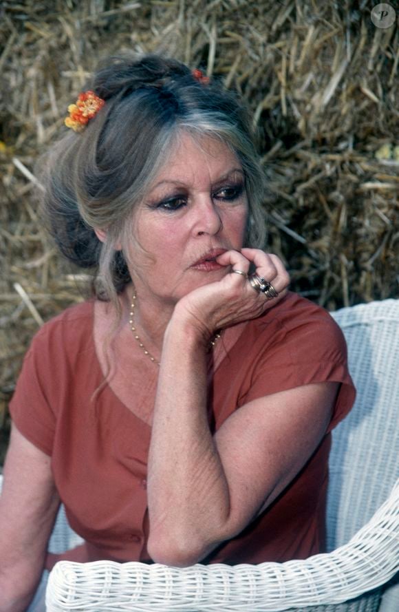 Brigitte Bardot au refuge de la Mare Auzou © Photo par APS-Medias/ABACAPRESS.COM
