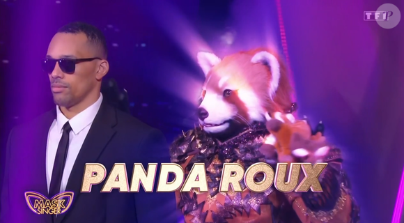 Le Panda Roux a révélé qu'il aurait un lien avec de la "haute couture". 

Le Panda Roux de Mask Singer, capture d'écran TF1
