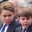 Le prince George taquiné par le prince Louis ? Tous les frères et soeurs s'y retrouveront