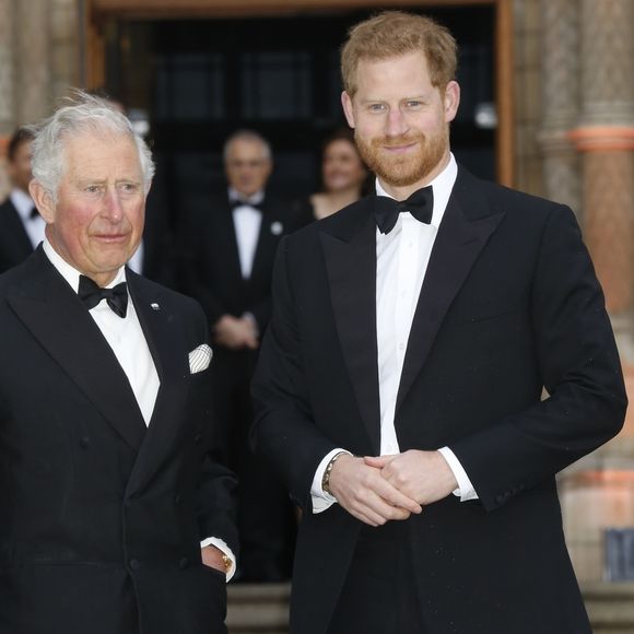 Une réconciliation entre le prince Harry et le roi Charles III est-elle possible ? C’est en tout cas ce que laisse présager une réunion qui n’a pas manqué de faire couler beaucoup d’encre dans la presse britannique.

Le prince Charles, prince de Galles, le prince Harry, duc de Sussex, à la première de la série Netflix "Our Planet" au Musée d'Histoires Naturelles à Londres. (Backgrid UK/ Bestimage).