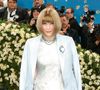 Le Met Gala 2026 se tient à New York sous la direction habituel d’Anna Wintour.

Anna Wintour au gala du Met "Superfine : Tailoring Black Style" au Metropolitan Museum of Art à New York. Photo par Backgrid USA / Bestimage