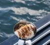 Mention spéciale au dessert Comme un turron à la cacahuète, mon véritable coup de cœur.

Alexy Algar-Denos, finaliste de "Top Chef", propose sa cuisine au restaurant éphémère Cramat'.