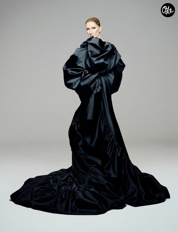 À partir de la mi-septembre, elle doit y assurer une résidence de cinq semaines, avant une nouvelle série de concerts prévue en mai 2027.

Visuel d'une affiche qui annonce le retour sur scène de Céline Dion à Paris.

© Robin Galiegue / Courtesy via Bestimage