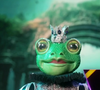 Une star internationale se cachait sous ce costume

La Grenouille dans "Mask Singer 7", capture d'écran TF1