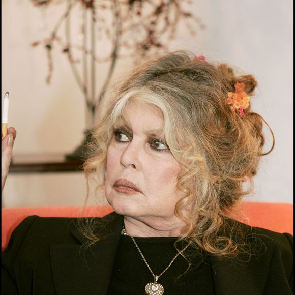 Après cette première hospitalisation, elle était rentrée chez elle à Saint-Tropez pour se reposer.

Brigitte Bardot au "Noel des animaux 2004" à Levallois Perret

Agence Bestimage