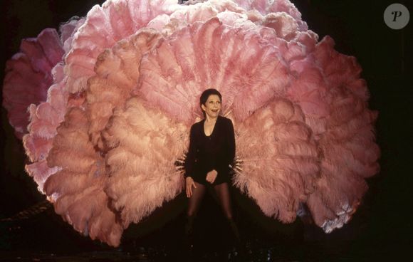 Zizi Jeanmaire Zenith de Paris 1995 - Archive Portrait
JLPPA / Bestimage