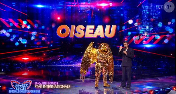 L'Oiseau dans Mask Singer, capture d'écran TF1