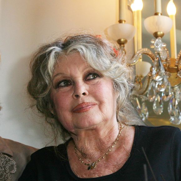 Brigitte Bardot lors des 20 ans de la Fondation Brigitte Bardot à Paris, le 28 septembre 2006.
©Agence / Bestimage