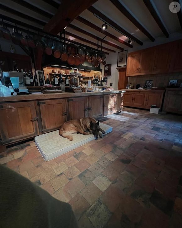 Image rare du domaine de Douchy dans le Loiret, propriété d'Alain Delon
©Instagram/therealanthonydelon