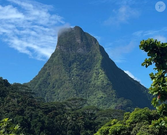 Chaque jour depuis leur arrivée sur l'île, tous ont la chance de pouvoir admirer la forêt luxuriante qui les entoure en plus des somptueux lagons turquoise !

Christophe Licata immortalise ses vacances à Bora-Bora (Capture d'écran Instagram- Juillet 2025).