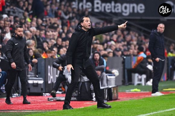 Julien Stéphan (entraîneur du Stade Rennais) lors du match de Ligue 1 entre le Stade Rennais FC et Le Havre AC au Roazhon Park, le 25 octobre 2024 à Rennes, France. (Photo : Federico Pestellini / Panoramic)- © Federico Pestellini / Panoramic / Bestimage