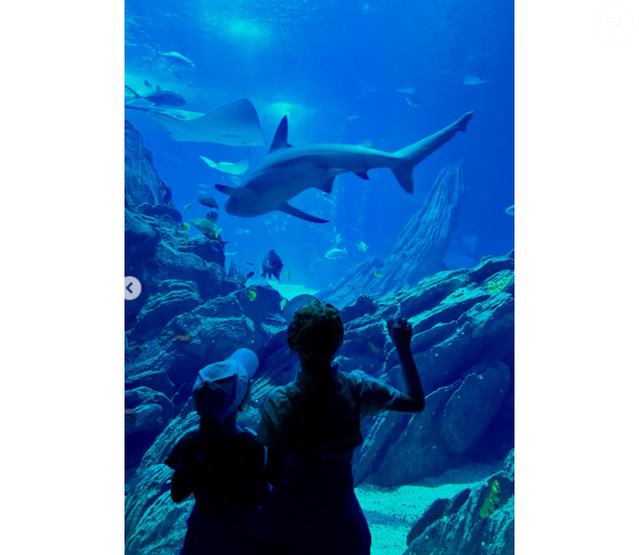 Plus loin dans la publication, changement de décor : les fillettes apparaissent captivées par le ballet aquatique des requins et des raies manta devant la vitre géante d'un aquarium.

Nathalie Péchalat partage des photos de ses filles sur Instagram