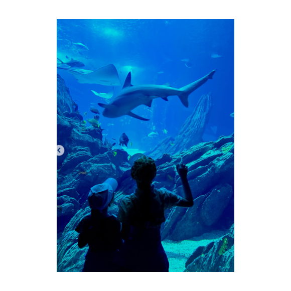 Plus loin dans la publication, changement de décor : les fillettes apparaissent captivées par le ballet aquatique des requins et des raies manta devant la vitre géante d'un aquarium.

Nathalie Péchalat partage des photos de ses filles sur Instagram