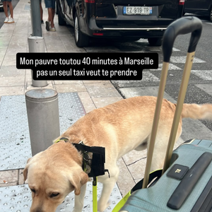 Dans une story, il explique que cela fait plus de 40 minutes qu'aucun chauffeur de taxi n'accepte de prendre l'animal qui a l'air tout abattu.

Capture d'écran Instagram Hugo Manos le mercredi 13 août 2025. © Instagram Hugo Manos
