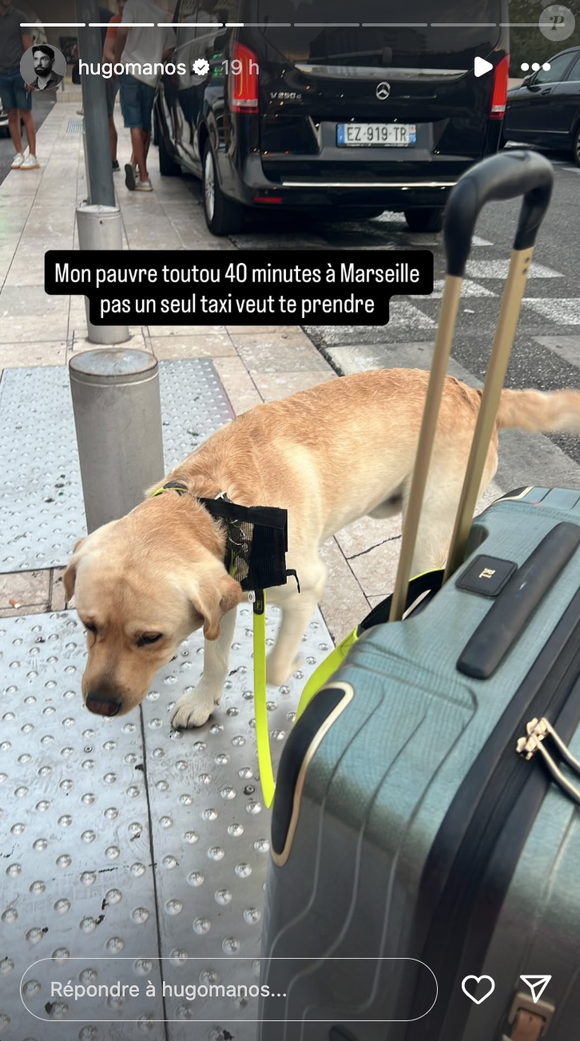 Dans une story, il explique que cela fait plus de 40 minutes qu'aucun chauffeur de taxi n'accepte de prendre l'animal qui a l'air tout abattu.

Capture d'écran Instagram Hugo Manos le mercredi 13 août 2025. © Instagram Hugo Manos