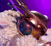 La Taupe, le Lapin et l’Agneau se sont qualifiés pour la finale.

Le Scarabée éliminé en demi-finale de Mask Singer 8, capture d'écran TF1