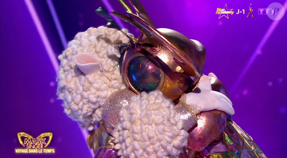 La Taupe, le Lapin et l’Agneau se sont qualifiés pour la finale.

Le Scarabée éliminé en demi-finale de Mask Singer 8, capture d'écran TF1