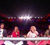 L’émission reste un rendez-vous important du divertissement français.

Eric Antoine, Marianne James, Hélène Ségara et Sugar Sammy sont les membres du jury de l'émission "La France a un incroyable talent". © Capture d'écran M6
