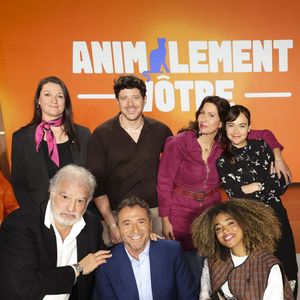 L’émission sera diffusée chaque dimanche à 15h45 à partir du 9 novembre 2025.

Exclusif - Bernard Montiel, lors de la présentation de l'équipe et du plateau de la nouvelle émission "Animalement Vôtre" présentée par l'animateur et diffusée le dimanche 9 novembre dès 15.45 sur France 3, à Paris, France, le 13 octobre 2025. © Jack Tribeca/Bestimage