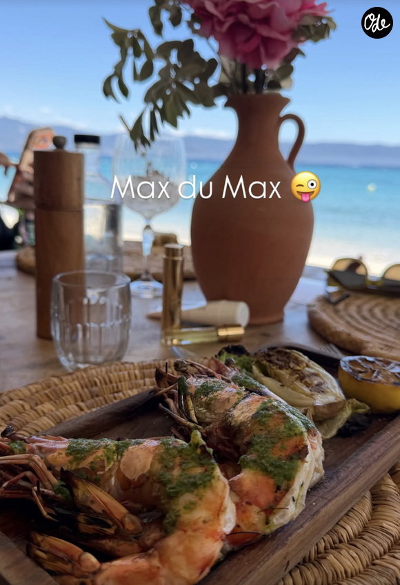 Il s'agit du Kos Beach Club, une adresse balnéaire située à Ajaccio, en Corse. 

Photos partagées en story du compte Instagram de Marine Vignes le 13 juin 2026.
