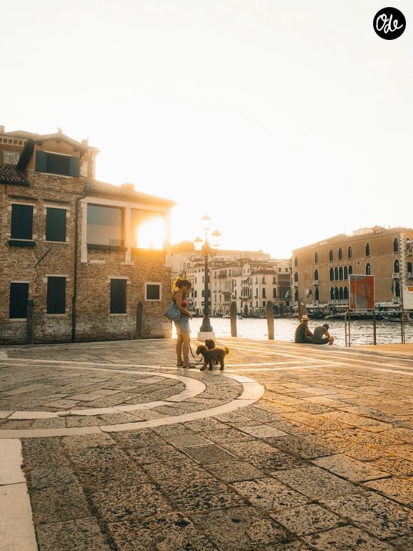 Unsplash / Licence gratuite