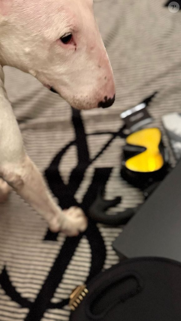 Charlotte Gainsbourg et ses enfants en Islande pour les vacances d'été 2025