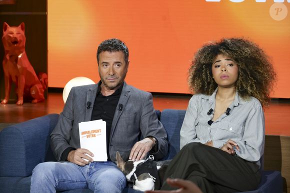 Le programme est diffusé chaque dimanche depuis le 9 novembre 2025.

Bernard Montiel, Oli et son chien Monday sur plateau de l'émission "Animalement Vôtre" présentée par B.Montiel et diffusée le 1er février 2026 sur France 3, à Paris, France, le 3 décembre 2025. © Jack Tribeca/Bestimage