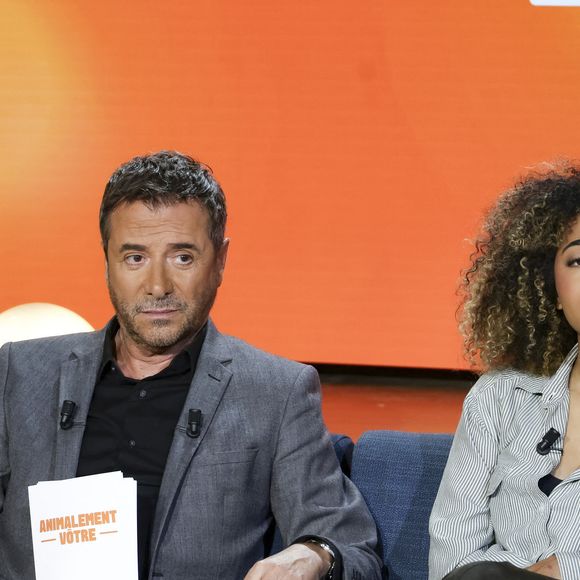 Le programme est diffusé chaque dimanche depuis le 9 novembre 2025.

Bernard Montiel, Oli et son chien Monday sur plateau de l'émission "Animalement Vôtre" présentée par B.Montiel et diffusée le 1er février 2026 sur France 3, à Paris, France, le 3 décembre 2025. © Jack Tribeca/Bestimage