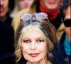 "Une plainte a été déposée et une enquête préliminaire a été ouverte.", précise Gala.
Archives - Brigitte Bardot à une manifestation anti-fourrure
Photographe : MAX COLIN / BESTIMAGE