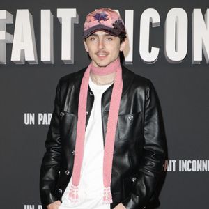 Timothée Chalamet - Avant-première du film "Un parfait inconnu" au Grand Rex à Paris le 15 janvier 2025. © Coadic Guirec/Bestimage