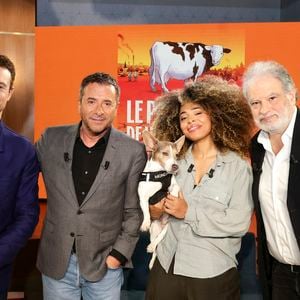 Hugo Clément, Bernard Montiel, Oli et son chien Monda, Maître Olivia Symniacos et Raphaël Mezrahi sur plateau de l'émission "Animalement Vôtre" présentée par B.Montiel et diffusée le 1er février 2026 sur France 3, à Paris, France, le 3 décembre 2025. © Jack Tribeca/Bestimage