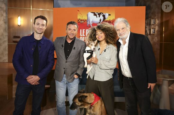 Hugo Clément, Bernard Montiel, Oli et son chien Monda, Maître Olivia Symniacos et Raphaël Mezrahi sur plateau de l'émission "Animalement Vôtre" présentée par B.Montiel et diffusée le 1er février 2026 sur France 3, à Paris, France, le 3 décembre 2025. © Jack Tribeca/Bestimage