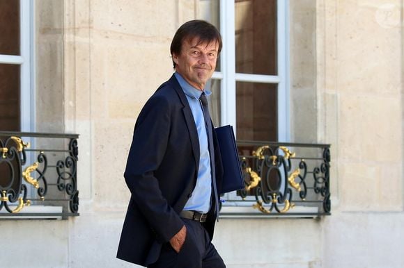 Le ministre de la Transition Ecologique et Solidaire Nicolas Hulot - Sorties du conseil des ministres du mercredi 27 juin au palais de l'Elysée à Paris. Stéphane Lemouton / Bestimage