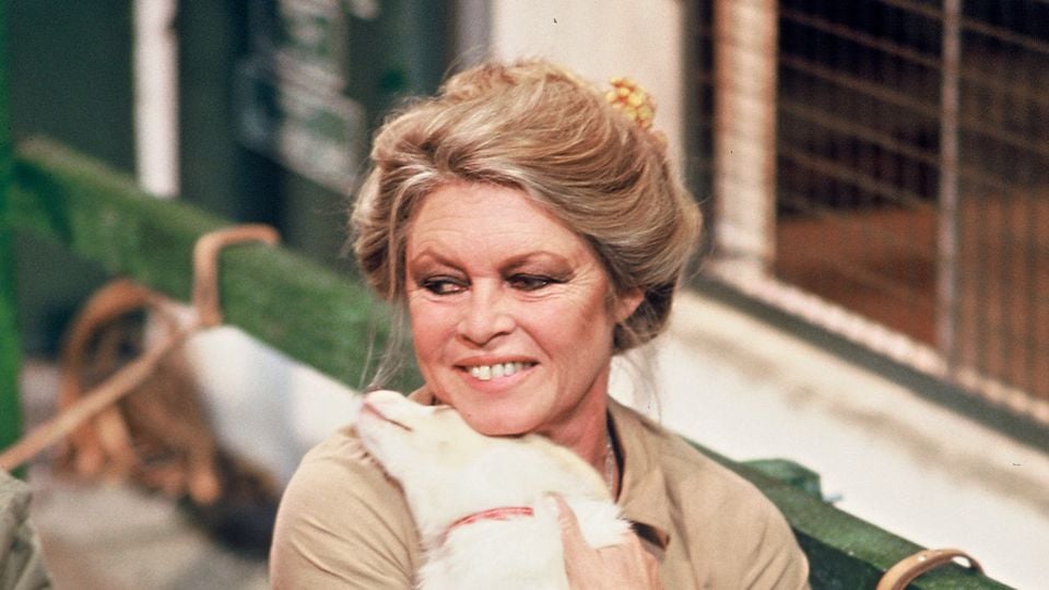 Dans l’autre propriété de Brigitte Bardot le sort de ses animaux reste incertain