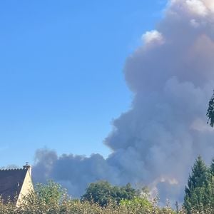 Alors qu'un important incendie ravage la région, la famille assiste à la scène depuis son jardin.

Capture du compte Instagram de Laetitia Bertignac.

© Instagram / Laetitia Bertignac