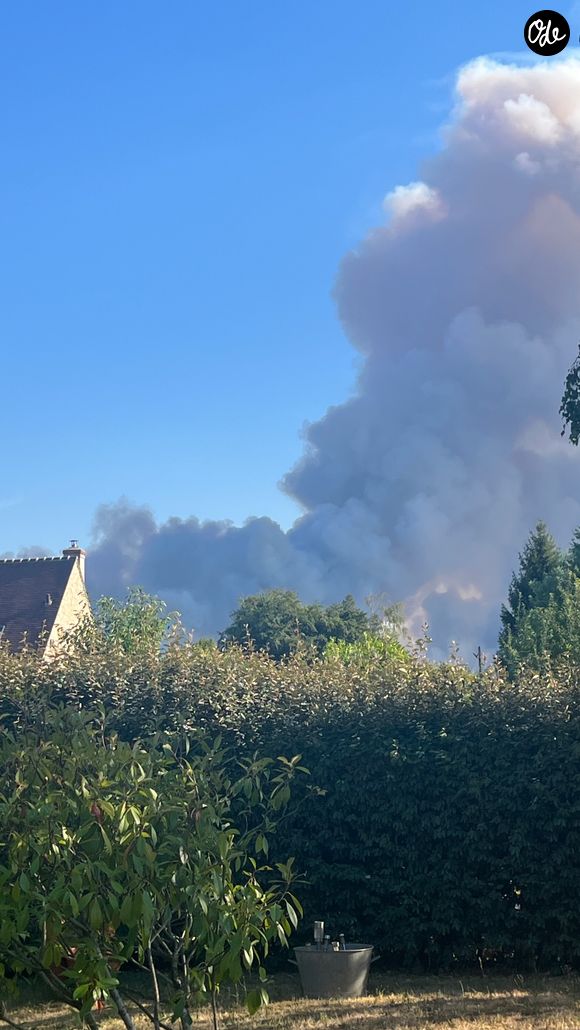 Alors qu'un important incendie ravage la région, la famille assiste à la scène depuis son jardin.

Capture du compte Instagram de Laetitia Bertignac.

© Instagram / Laetitia Bertignac