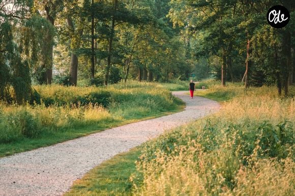 Un expert propose quatre exercices en seulement 3 à 4 minutes.

Photo prise par Frank Holleman / Unsplash