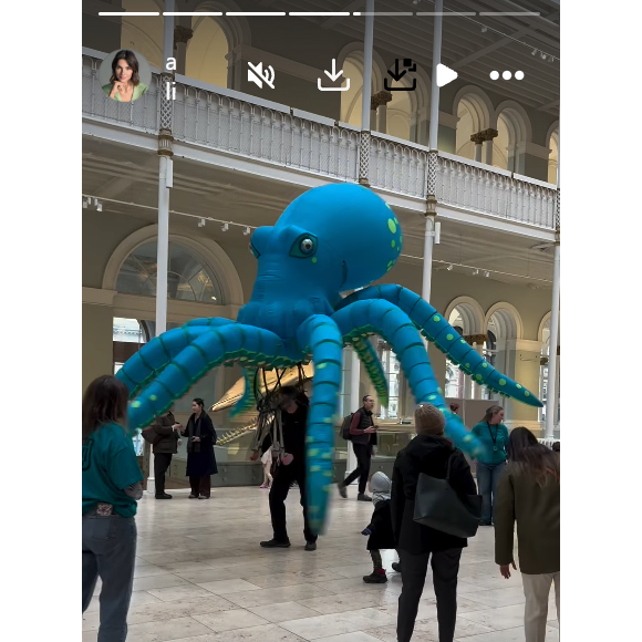 Captures d'écran de l'Instagram d'Alice Detollenaere.