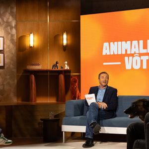 Exclusif - Bernard Montiel, Raphaël Mezrah, Oli. avec Chantal Ladesou et Eric Baratay invités, et Olivia la juriste sur plateau de l'émission "Animalement Vôtre" présentée par Bernard Montiel et diffusée le 8 février 2026 sur France 3, à Paris, France, le 12 janvier 2026. © Julien Sarkissian/Bestimage