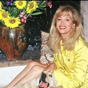 Les photos d’archives la montrent notamment dans sa piscine avec son mari Alain-Philippe Malagnac, mais aussi dans les escaliers, sa cuisine ou entourée de ses animaux.

Archives — Amanda Lear dans sa villa de Saint-Rémy-de-Provence.