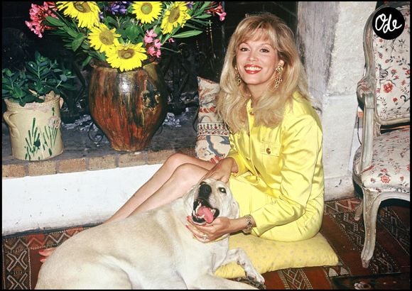 Les photos d’archives la montrent notamment dans sa piscine avec son mari Alain-Philippe Malagnac, mais aussi dans les escaliers, sa cuisine ou entourée de ses animaux.

Archives — Amanda Lear dans sa villa de Saint-Rémy-de-Provence.