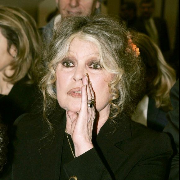 Brigitte Bardot est décédée le 28 décembre à l’âge de 91 ans, suscitant une vive émotion en France et bien au-delà. 

Brigitte Bardot au "Noel des animaux 2004" à Levallois Perret

Agence Bestimage
