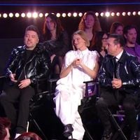 "T'étais un peu fermée" : Une 4e personnalité a quitté Danse avec les stars, Fauve Hautot et Chris Marques font le bilan de son parcours après l'annonce