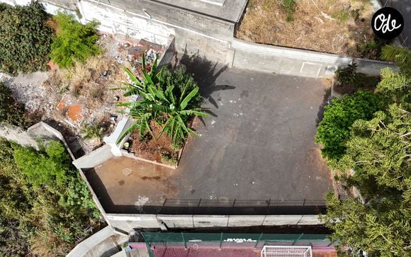 Pour les habitants comme pour les visiteurs qui connaissent l'histoire du joueur, ce lieu reste toutefois associé aux premières années de celui qui allait devenir une figure majeure du football.

La maison d'enfance de la superstar du football Cristiano Ronaldo dans les collines de Madère a été transformée en parking.© Backgrid UK/ Bestimage